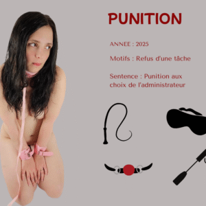 Une bonne punition !