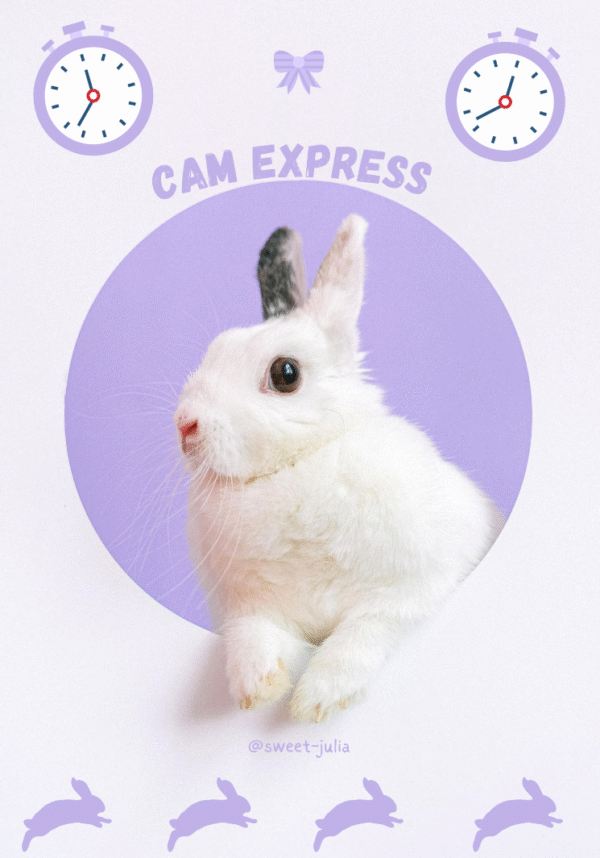 cam express Un lapin blanc tenant une horloge, avec un autre lapin flou en arrière-plan.