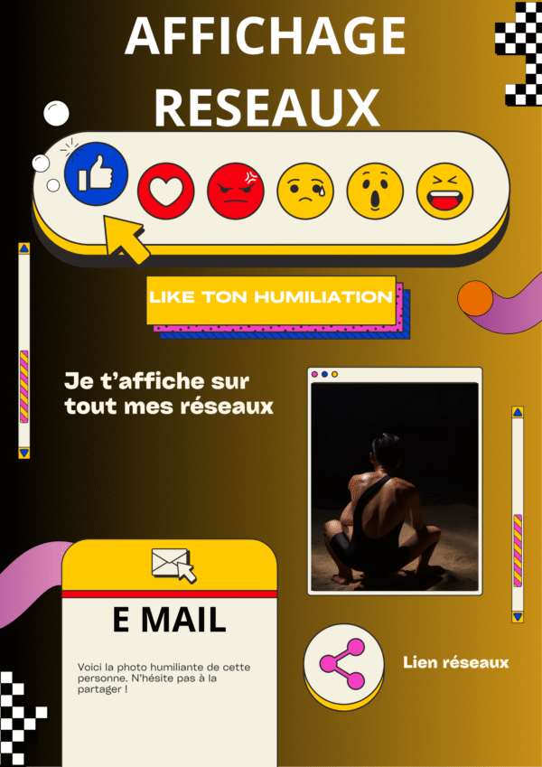 Affichage du réseau Facebook avec des icônes et des connexions entre utilisateurs.